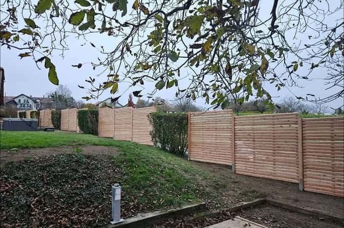 Abattre un arbre dans le canton de Vaud: autorisation et démarches
