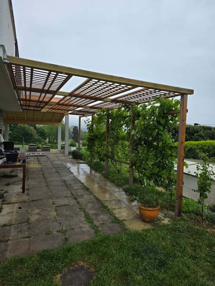 Pergola en bois couverte de vigne au dessus d'une terrasse dallée, La Côte vaudoise
