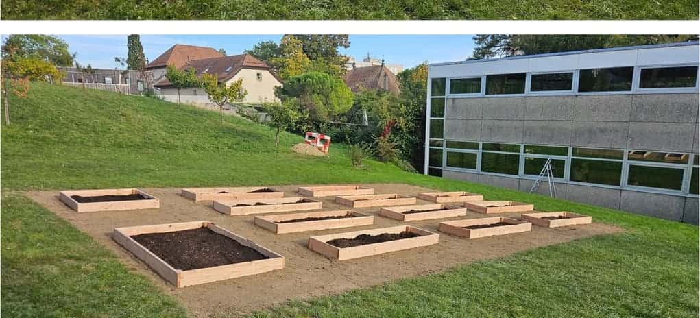Pelouse en pente, après intervention
