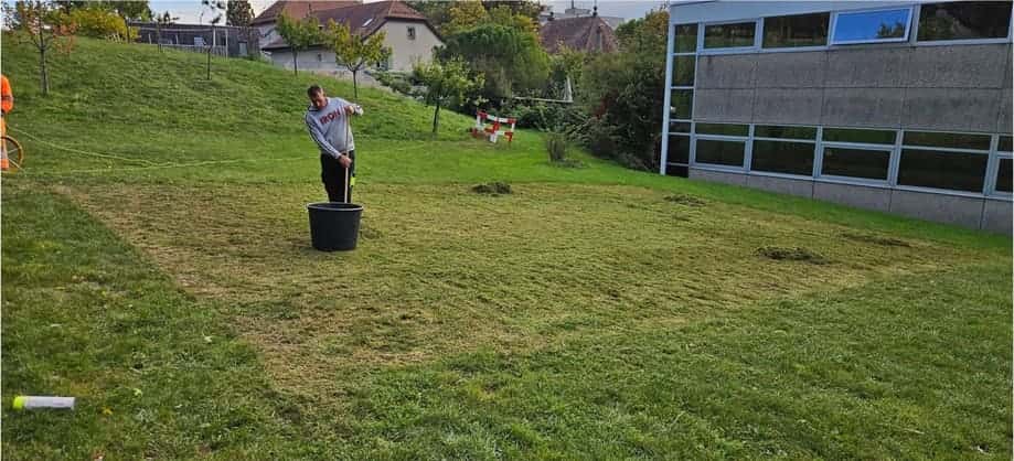 Pelouse en pente, avant intervention